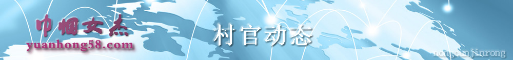 新农村网村官动态