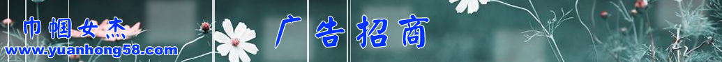 新农村网广告招商