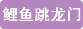 巾幗女傑網 鯉魚跳龍門
