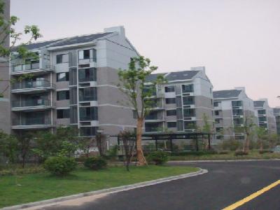 明星之村