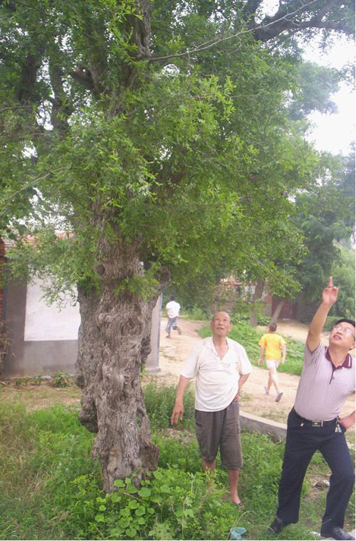 村民在围观