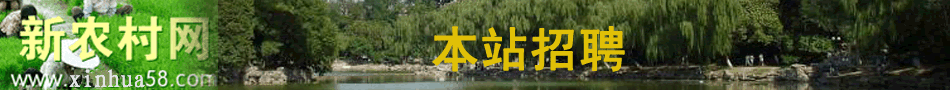 新农村网本站招聘