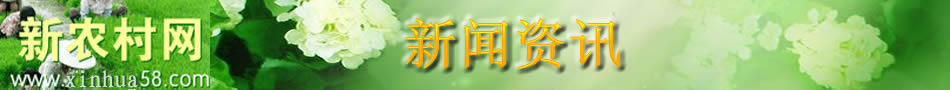 新农村网新闻资讯